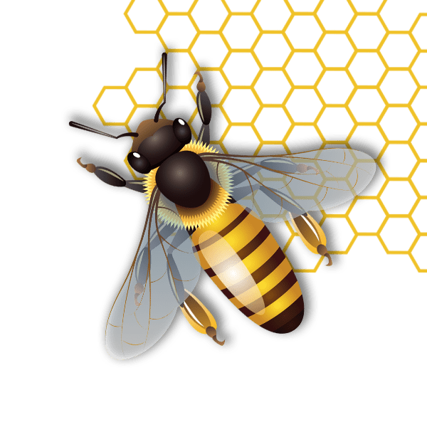 Bee (1)